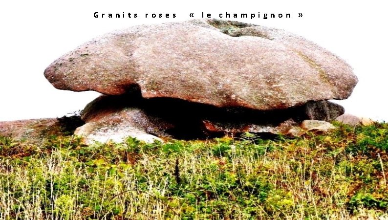  Granits roses « le champignon » 