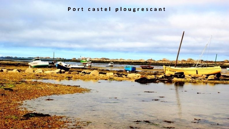  Port castel plougrescant 