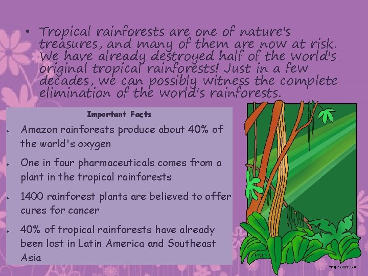  • Tropical rainforests are one of nature's treasures, and many of them are