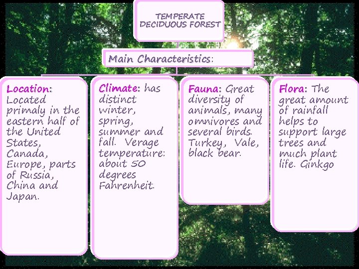 TEMPERATE DECIDUOUS FOREST Main Characteristics: Characteristics Location: Located primaly in the eastern half of