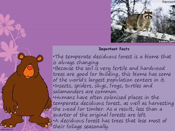 Important Facts • The temperate deciduous forest is a biome that is always changing.