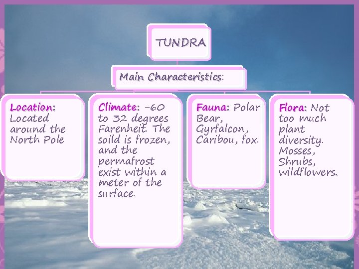 TUNDRA Main Characteristics: Characteristics Location: Located around the North Pole Climate: -60 to 32