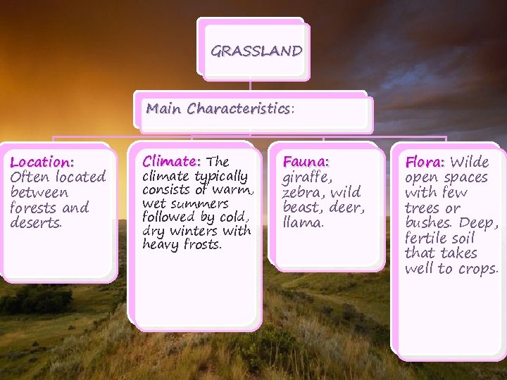 GRASSLAND Main Characteristics: Characteristics Location: Often located between forests and deserts. Climate: The climate