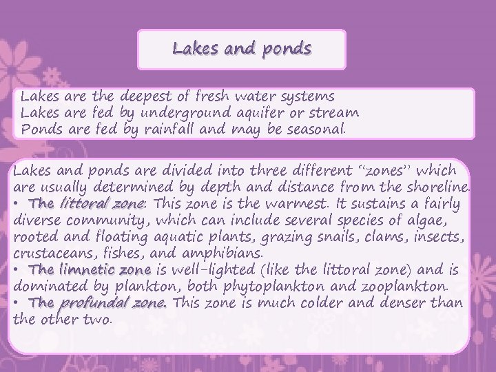 Lakes and ponds Lakes are the deepest of fresh water systems Lakes are fed