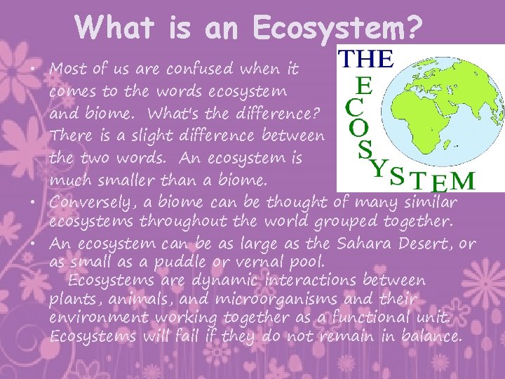 What is an Ecosystem? • Most of us are confused when it comes to