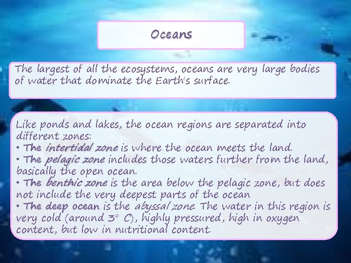 Oceans The largest of all the ecosystems, oceans are very large bodies of water