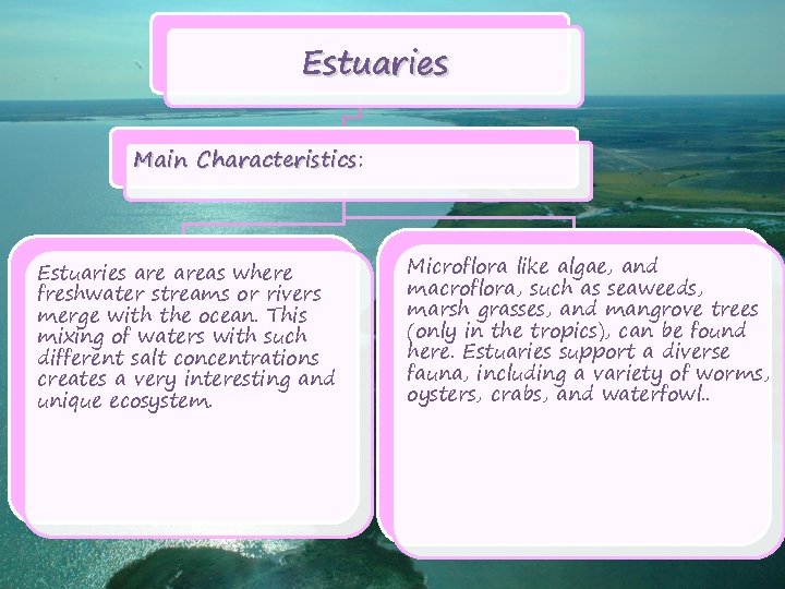 Estuaries Main Characteristics: Characteristics Estuaries areas where freshwater streams or rivers merge with the