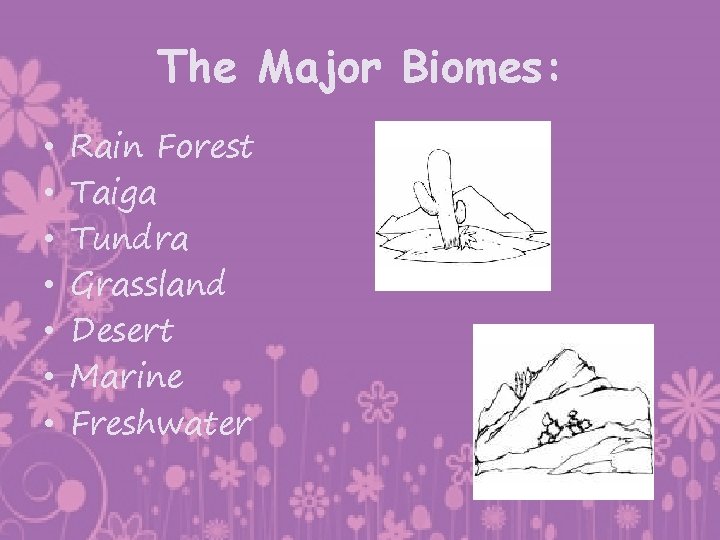 The Major Biomes: • • Rain Forest Taiga Tundra Grassland Desert Marine Freshwater 