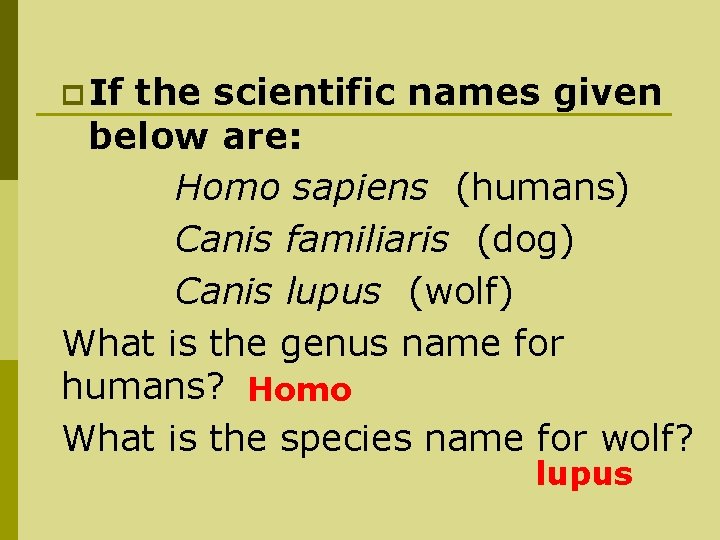 p If the scientific names given below are: Homo sapiens (humans) Canis familiaris (dog)