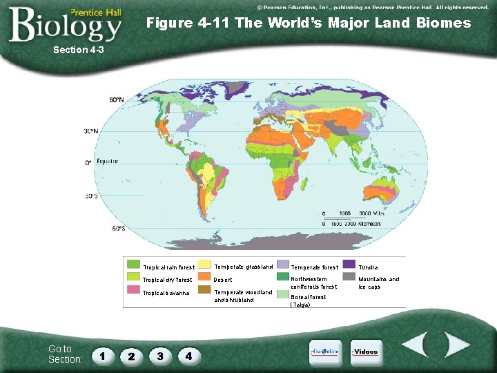 Figure 4 -11 The World’s Major Land Biomes Section 4 -3 Go to Section: