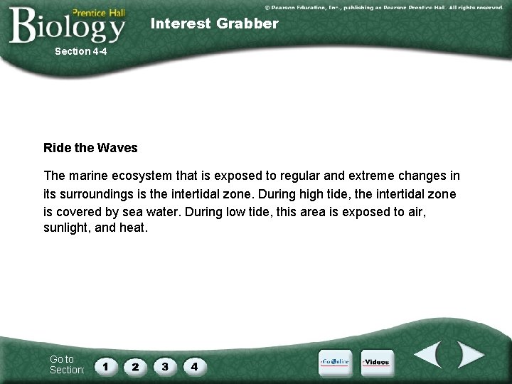 Interest Grabber Section 4 -4 Ride the Waves The marine ecosystem that is exposed