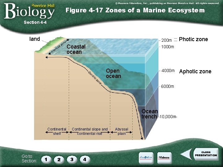 Figure 4 -17 Zones of a Marine Ecosystem Section 4 -4 land 200 m