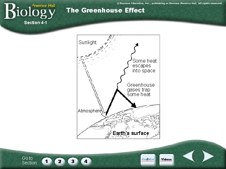 The Greenhouse Effect Section 4 -1 Sunlight Some heat escapes into space Greenhouse gases