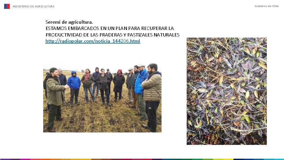 MINISTERIO DE AGRICULTURA Seremi de agricultura. ESTAMOS EMBARCADOS EN UN PLAN PARA RECUPERAR LA