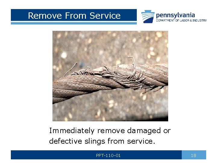 Remove From Service Immediately remove damaged or defective slings from service. PPT-110 -01 18