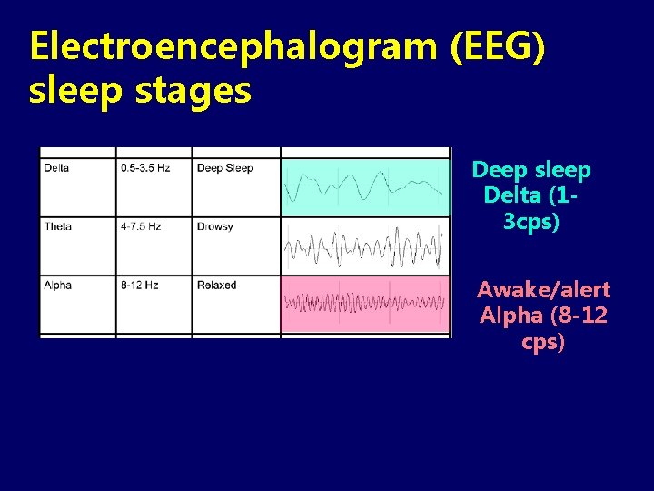 Electroencephalogram (EEG) sleep stages Deep sleep Delta (13 cps) Awake/alert Alpha (8 -12 cps)