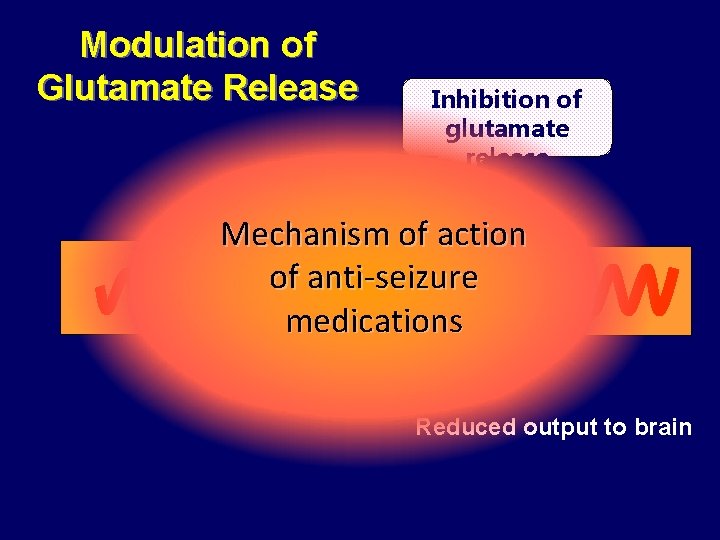 Modulation of Glutamate Release Inhibition of glutamate release Mechanism of action of anti-seizure medications