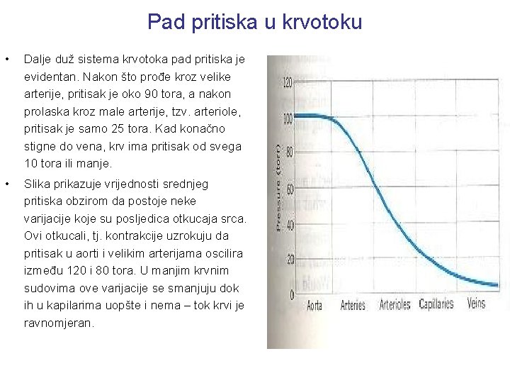 Pad pritiska u krvotoku • Dalje duž sistema krvotoka pad pritiska je evidentan. Nakon