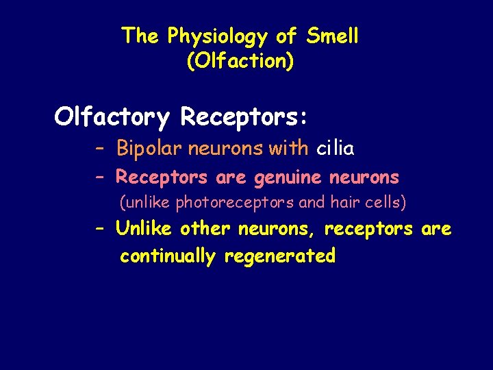The Physiology of Smell (Olfaction) Olfactory Receptors: – Bipolar neurons with cilia – Receptors