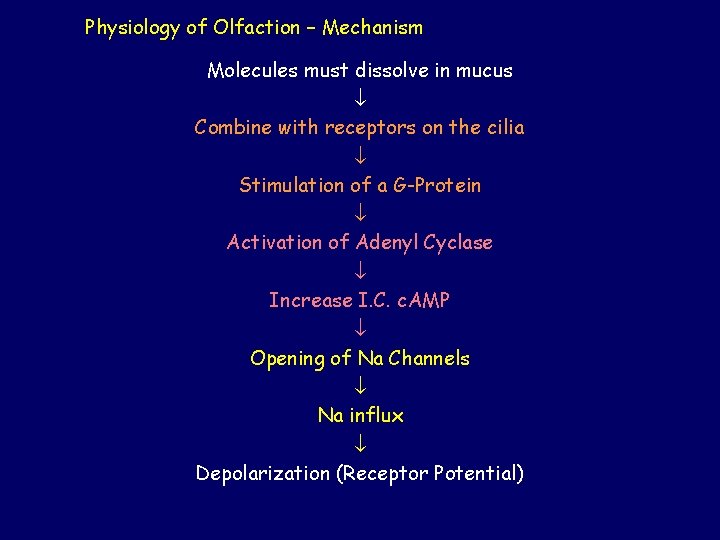 Physiology of Olfaction – Mechanism Molecules must dissolve in mucus Combine with receptors on