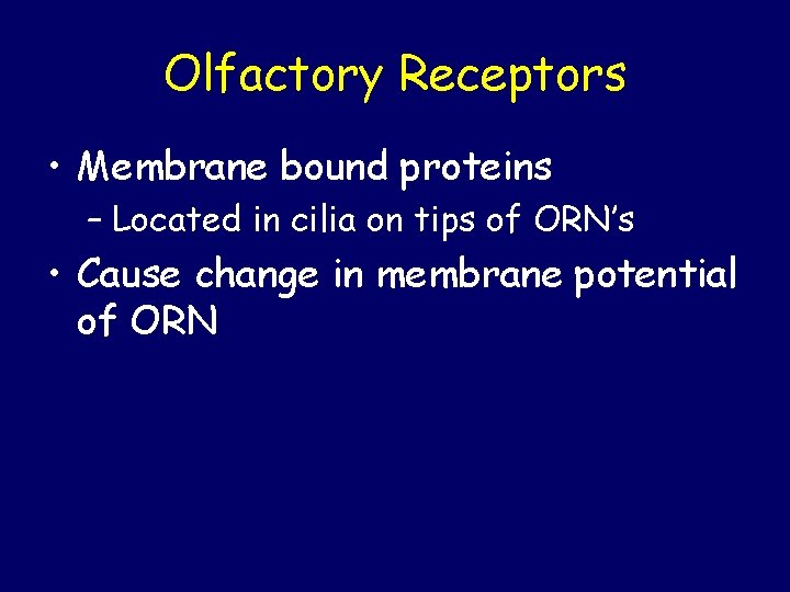 Olfactory Receptors • Membrane bound proteins – Located in cilia on tips of ORN’s