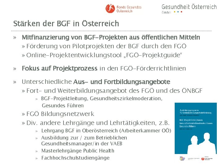 Stärken der BGF in Österreich » Mitfinanzierung von BGF-Projekten aus öffentlichen Mitteln » Förderung