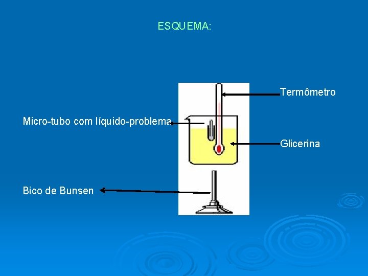 ESQUEMA: Termômetro Micro-tubo com líquido-problema Glicerina Bico de Bunsen 