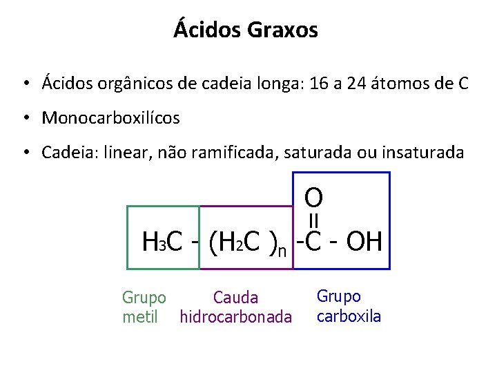 Ácidos Graxos • Ácidos orgânicos de cadeia longa: 16 a 24 átomos de C