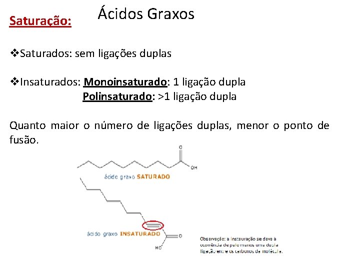 Saturação: Ácidos Graxos v. Saturados: sem ligações duplas v. Insaturados: Monoinsaturado: 1 ligação dupla