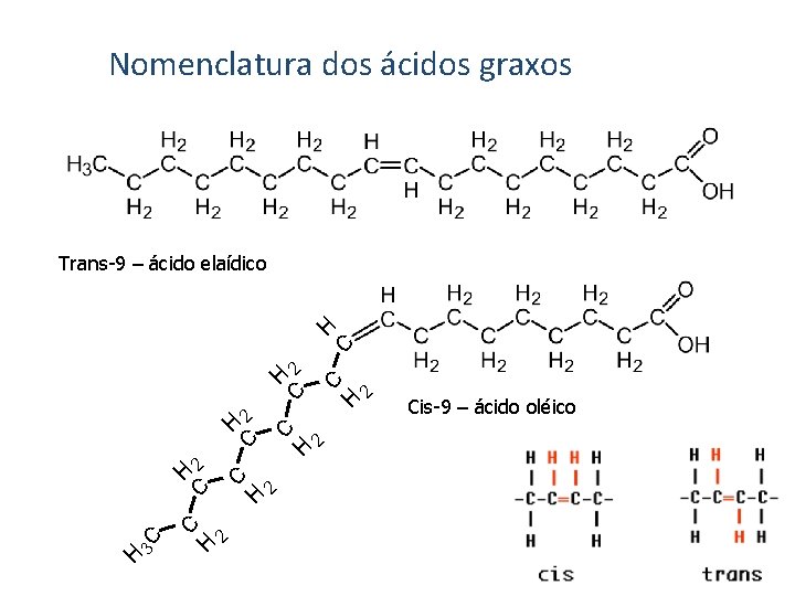 Nomenclatura dos ácidos graxos H 2 H H 2 C 3 C C C