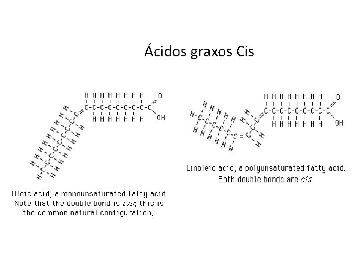 Ácidos graxos Cis 