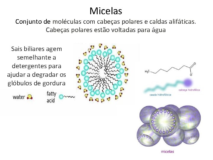 Micelas Conjunto de moléculas com cabeças polares e caldas alifáticas. Cabeças polares estão voltadas