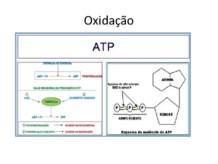 Oxidação 