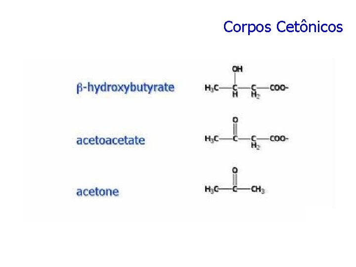 Corpos Cetônicos 