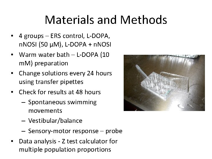 Materials and Methods • 4 groups – ERS control, L-DOPA, n. NOSI (50 µM),