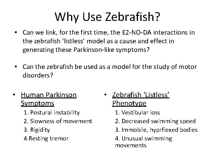 Why Use Zebrafish? • Can we link, for the first time, the E 2