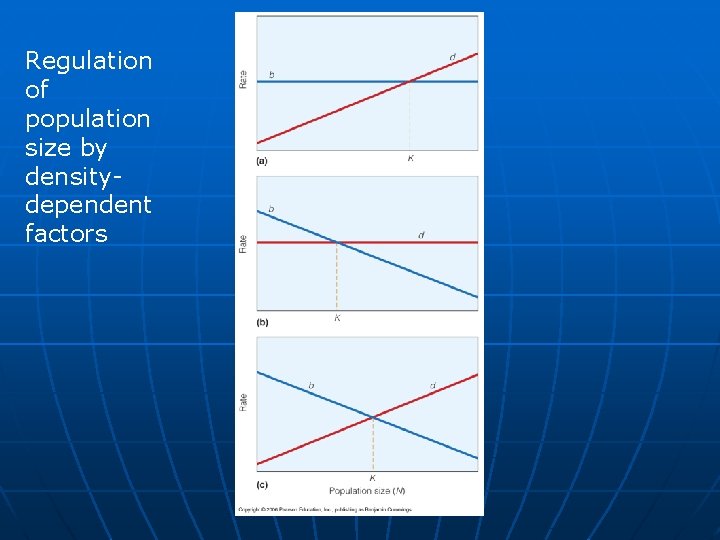 Regulation of population size by densitydependent factors 