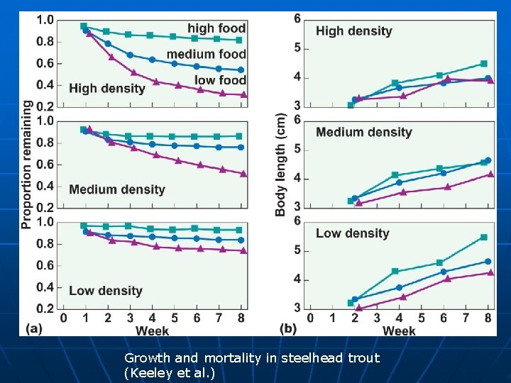 Growth and mortality in steelhead trout (Keeley et al. ) 