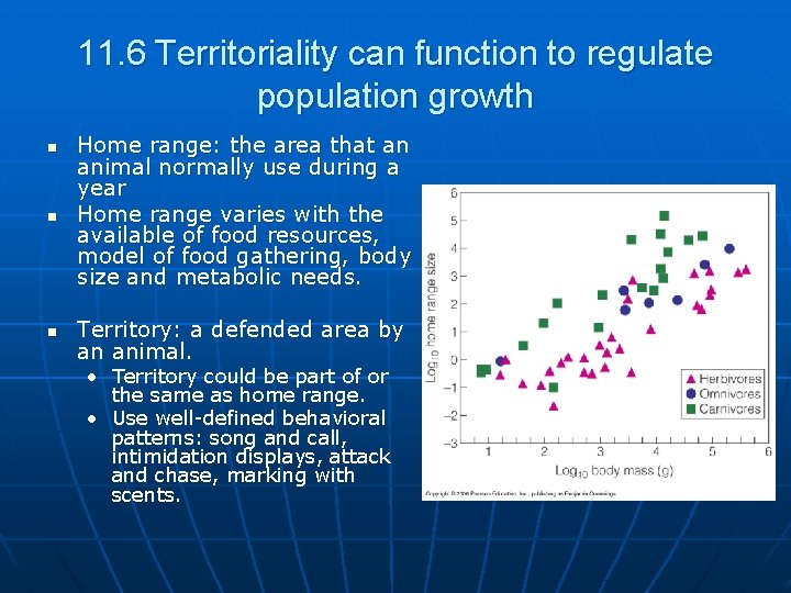11. 6 Territoriality can function to regulate population growth n Home range: the area