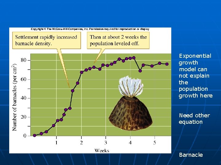 Exponential growth model can not explain the population growth here Need other equation Barnacle