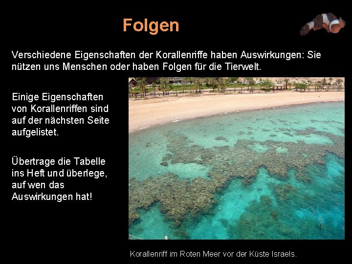 Folgen Verschiedene Eigenschaften der Korallenriffe haben Auswirkungen: Sie nützen uns Menschen oder haben Folgen
