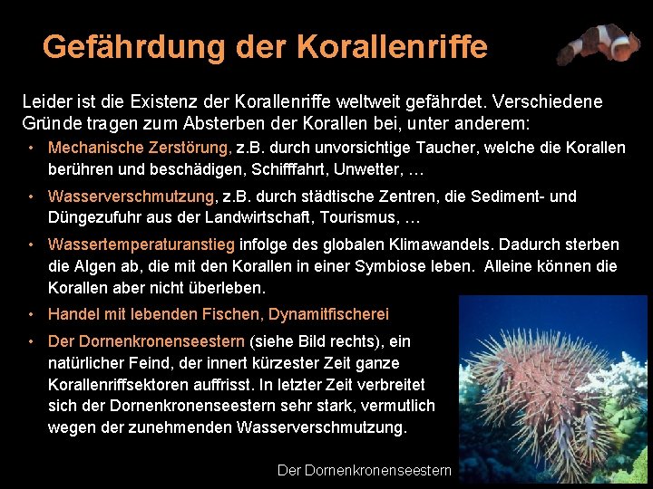 Gefährdung der Korallenriffe Leider ist die Existenz der Korallenriffe weltweit gefährdet. Verschiedene Gründe tragen