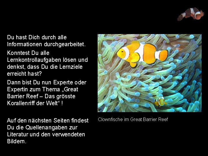 Du hast Dich durch alle Informationen durchgearbeitet. Konntest Du alle Lernkontrollaufgaben lösen und denkst,