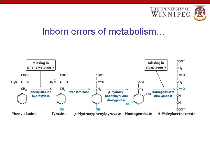 Inborn errors of metabolism… 