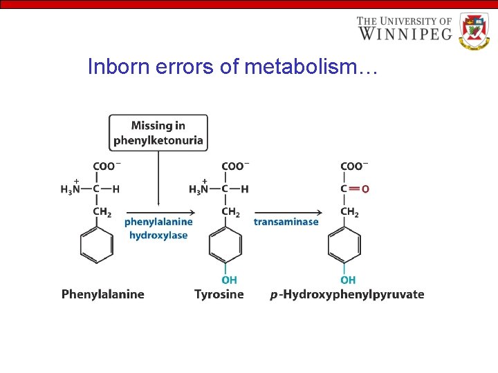 Inborn errors of metabolism… 