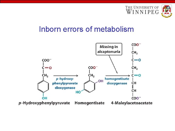 Inborn errors of metabolism 