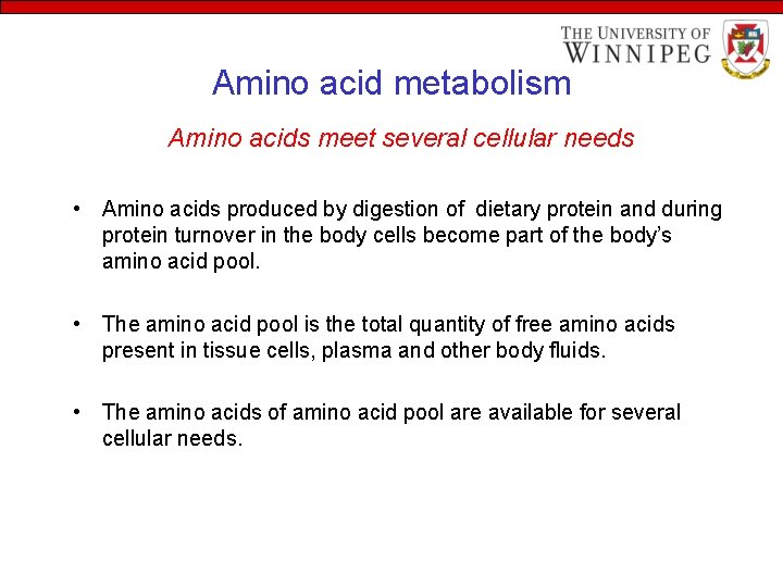 Amino acid metabolism Amino acids meet several cellular needs • Amino acids produced by