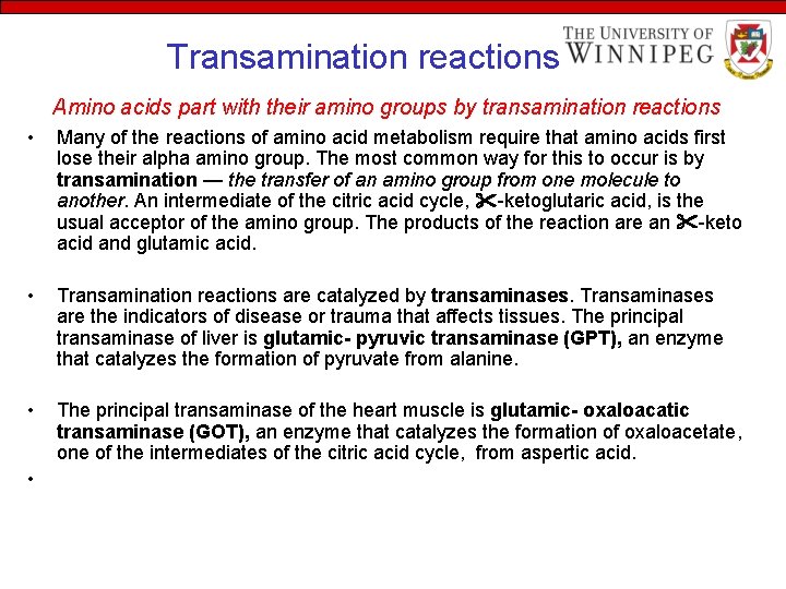 Transamination reactions Amino acids part with their amino groups by transamination reactions • Many