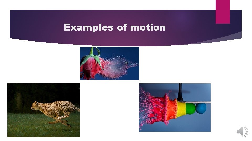Examples of motion  Examples of motion