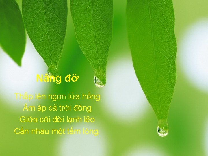 Nâng đỡ Thắp lên ngọn lửa hồng Ấm áp cả trời đông Giữa cõi